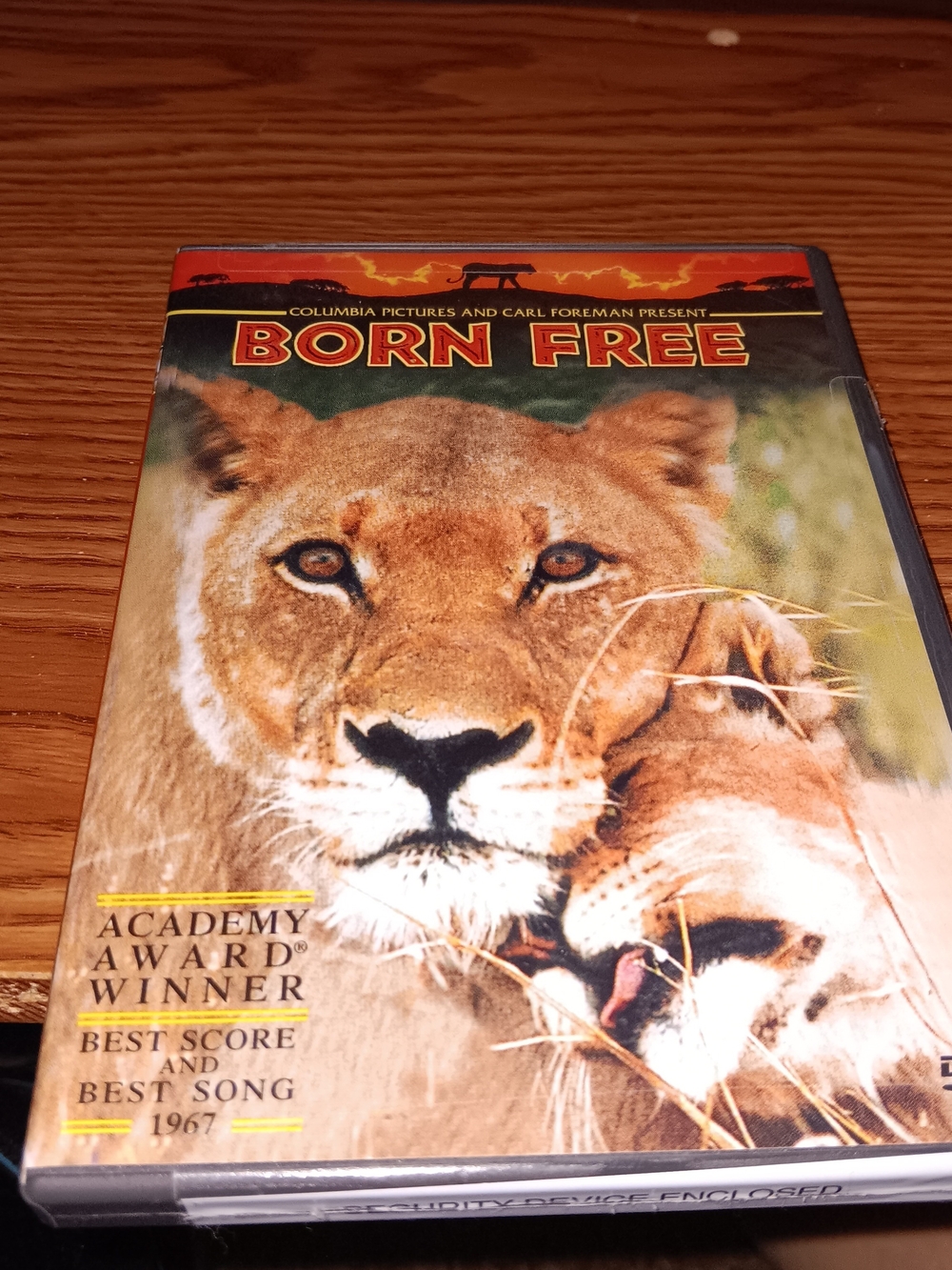 Born Free 1993 DVD From The Original 1967 Classic Movie EUC